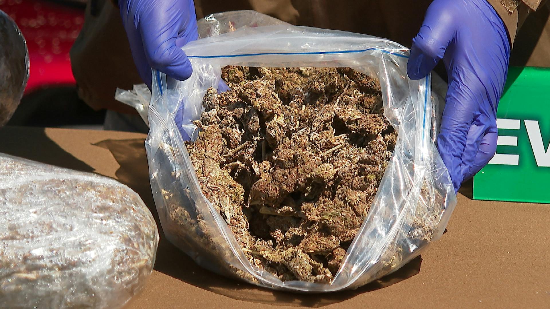 Ecuatoriano traía 15 kilos de marihuana cripy