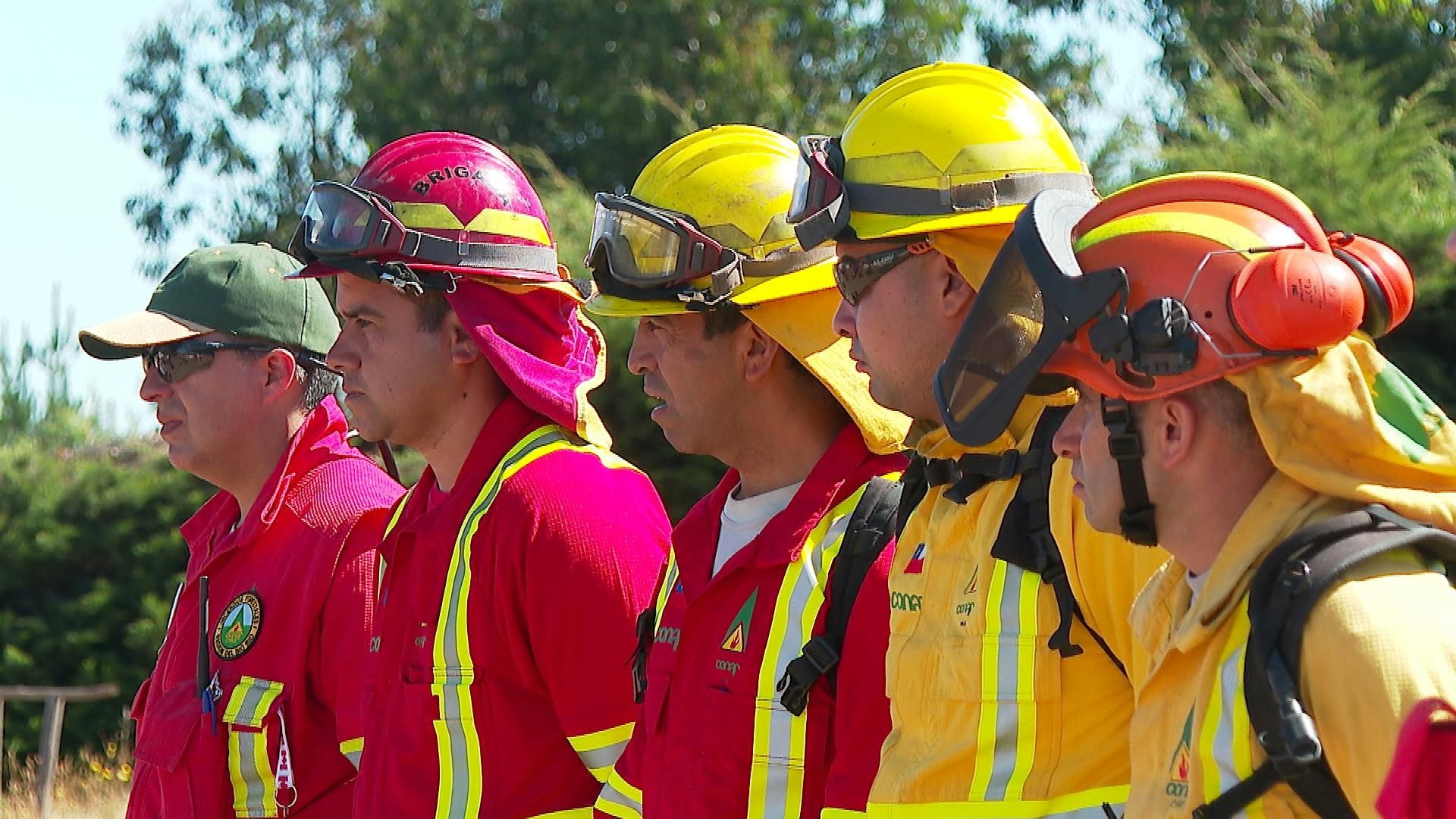 Brigada Forestal de Punta de Parra refuerza su preparación para el combate de incendios