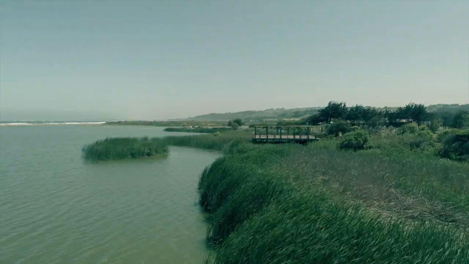 Cartagena inaugura acceso a humedal para una conexión más estrecha entre habitantes y biodiversidad