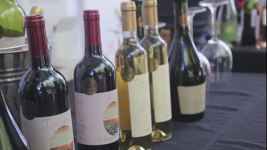 Concurso interregional del vino en Coelemu 
