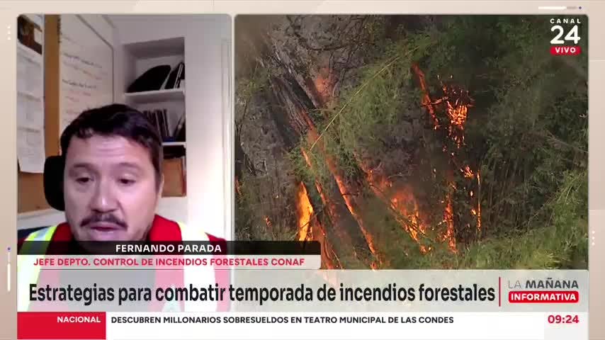 Experto de Conaf profundizó en la estrategia para combatir incendios forestales