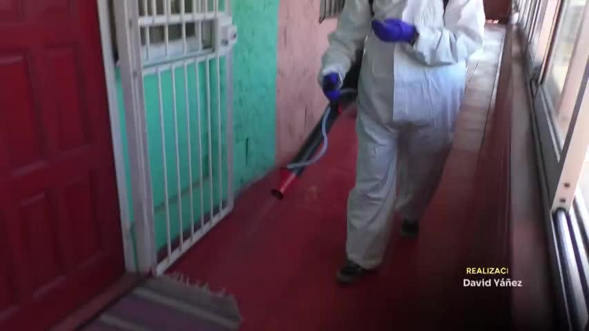 Parte fumigación de bloques en Michaigüe por plaga de bichos