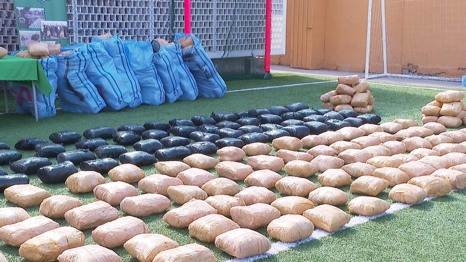 Decomisan más de 800 kilos de  marihuana.