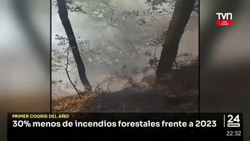 Primer Cogrid del año para prevenir incendios forestales