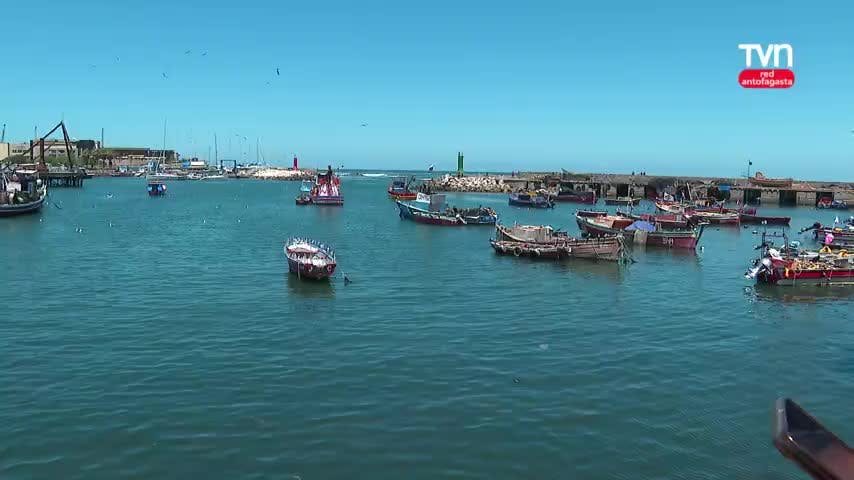 Gastronómía  marina imperdible en Terminal pesquero de Antofagasta. 