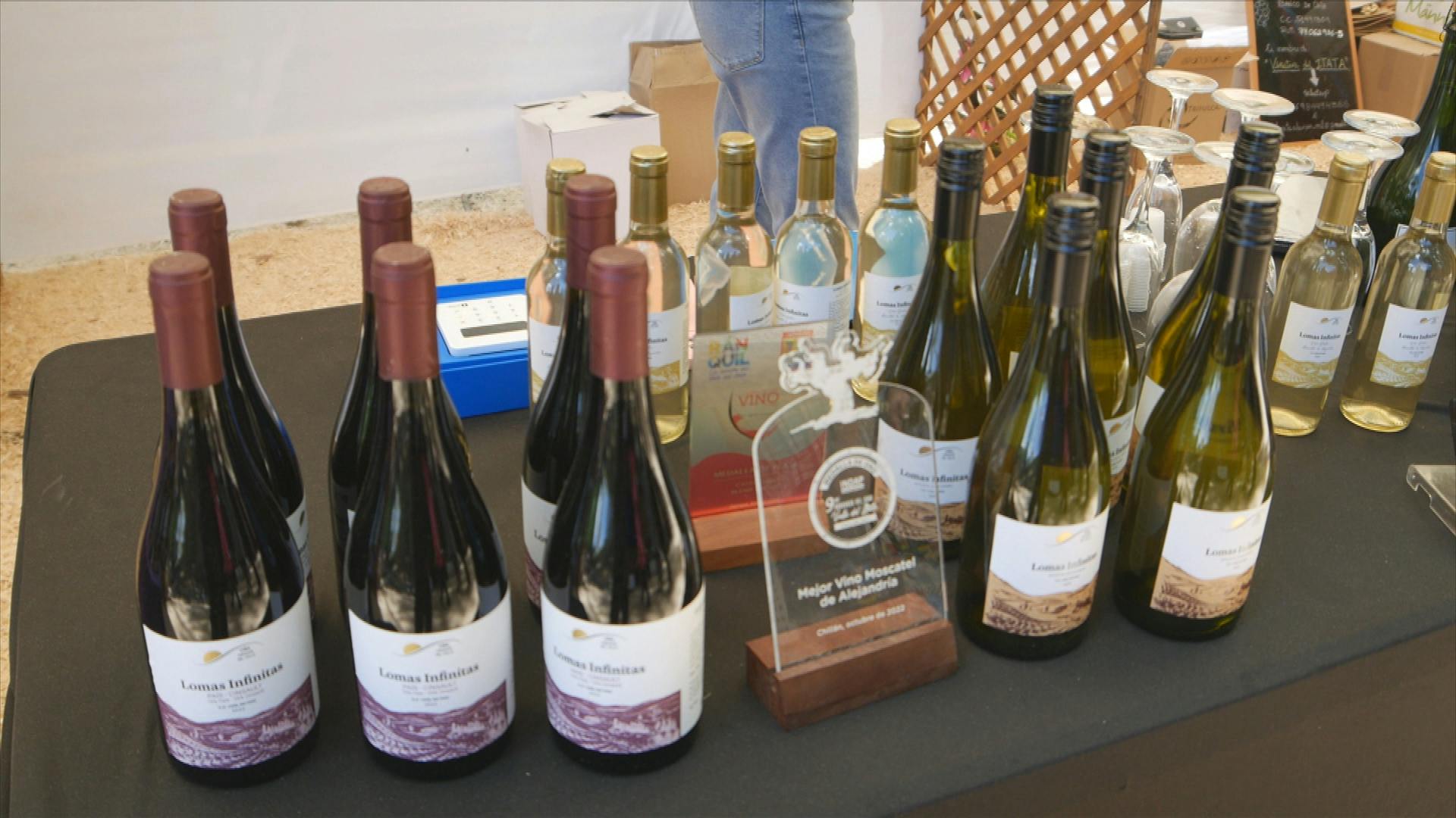 Celebran 25° versión de tradicional concurso del vino en Ránquil