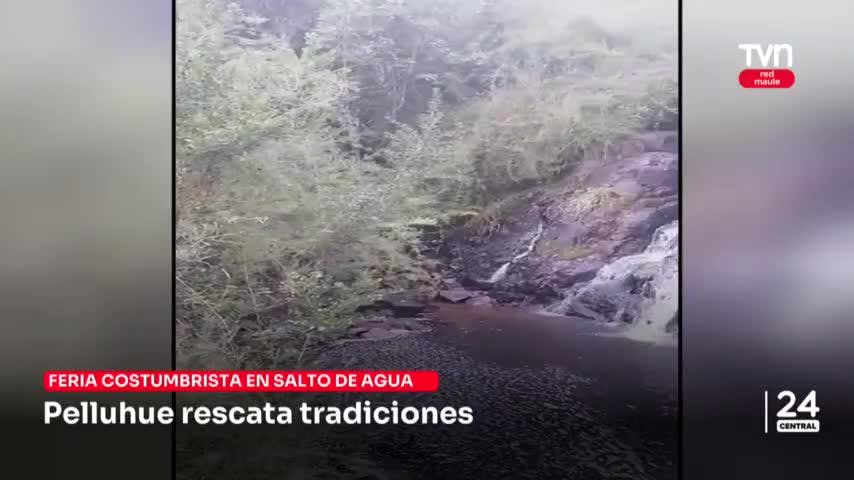 Tradiciones, música y gastronomía es parte de los siguientes panoramas de verano.