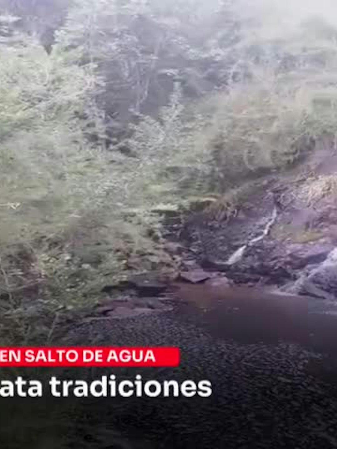 Tradiciones, música y gastronomía es parte de los siguientes panoramas de verano.