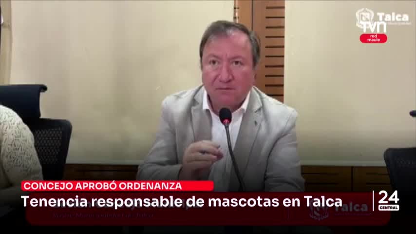 Talca ya tiene ordenanza para tenencia responsable de mascotas