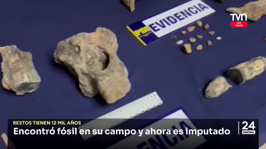 Subió imágenes paleontológicas a tik tok y ahora tiene problemas con la justicia