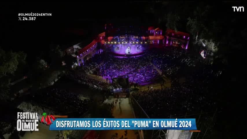 "Un descuido": El impasse de "Puma" Rodríguez en Olmué 2024