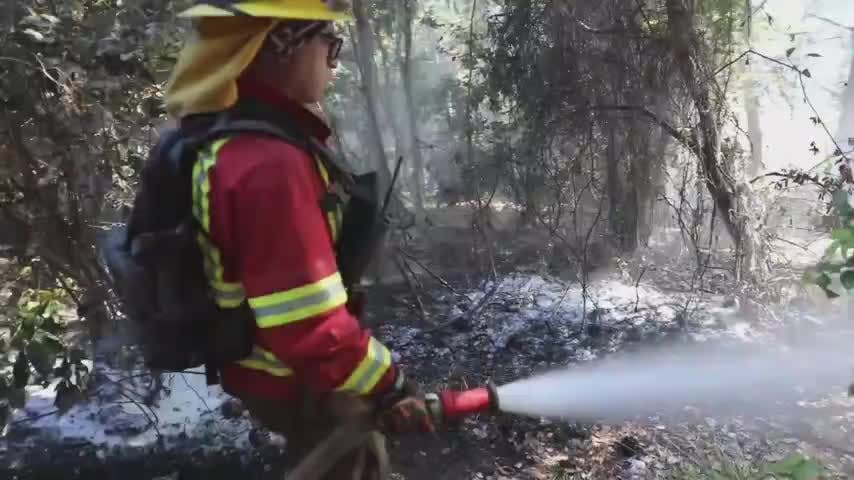 Declaran alerta roja por incendio en Los Ángeles