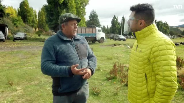 La lana como material de construcción | Chile Conectado