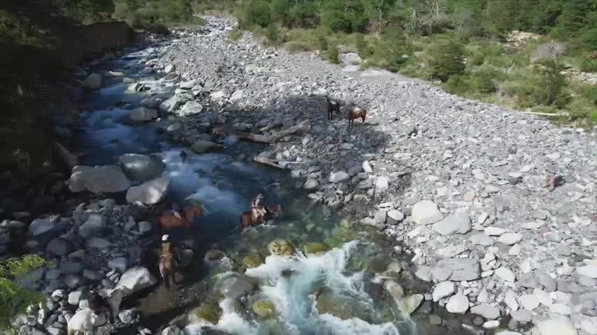 Refugio científico observación huemul