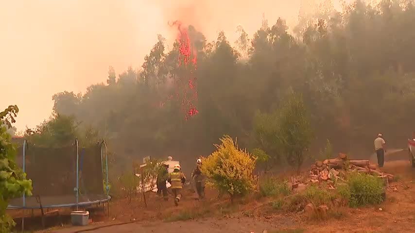 Nuevas estrategias para prevenir incendios forestales