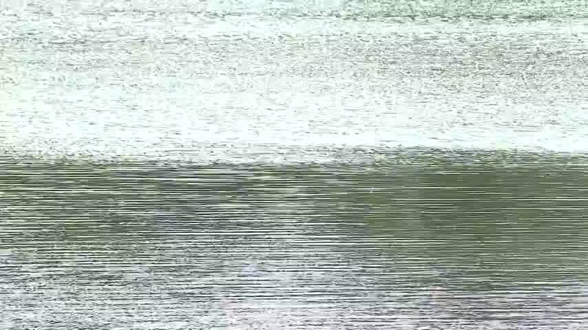 Descartan toxicidad de floración en Laguna Lo Méndez
