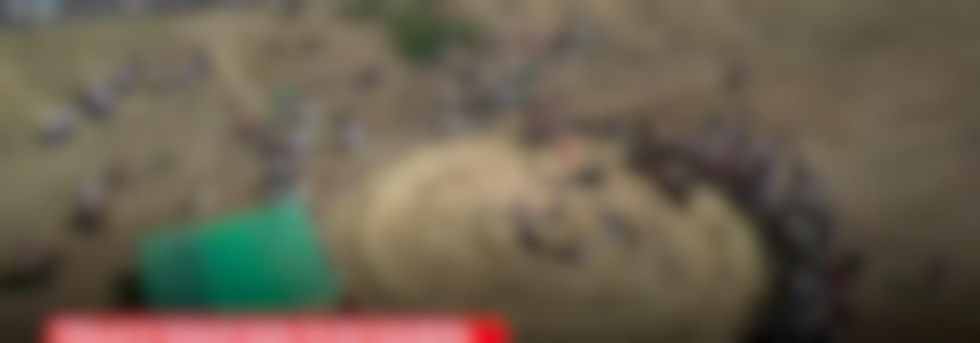 Actividades y mucho deporte proyectan los panoramas para este fin de semana