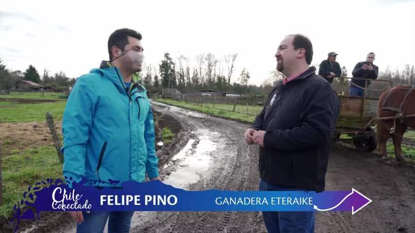 Leche sustentable | Chile Conectado - 2024-01-29 19:24:24