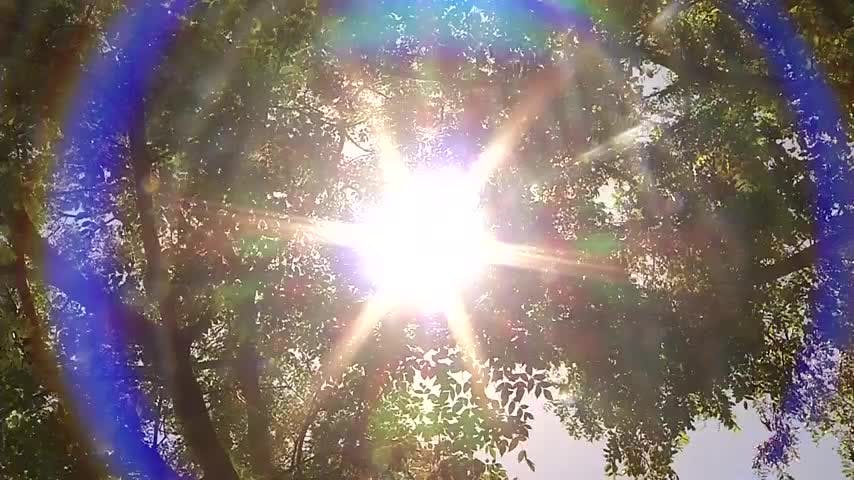 Decretan alerta roja por calor extremo en Ñuble 