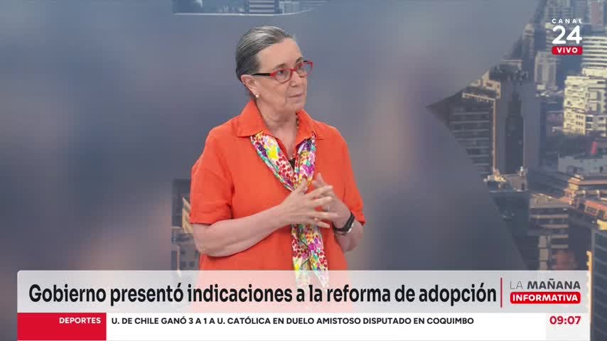 Subsecretaria de la Niñez e indicaciones a la reforma de adopción: se centran en las necesidades los niños