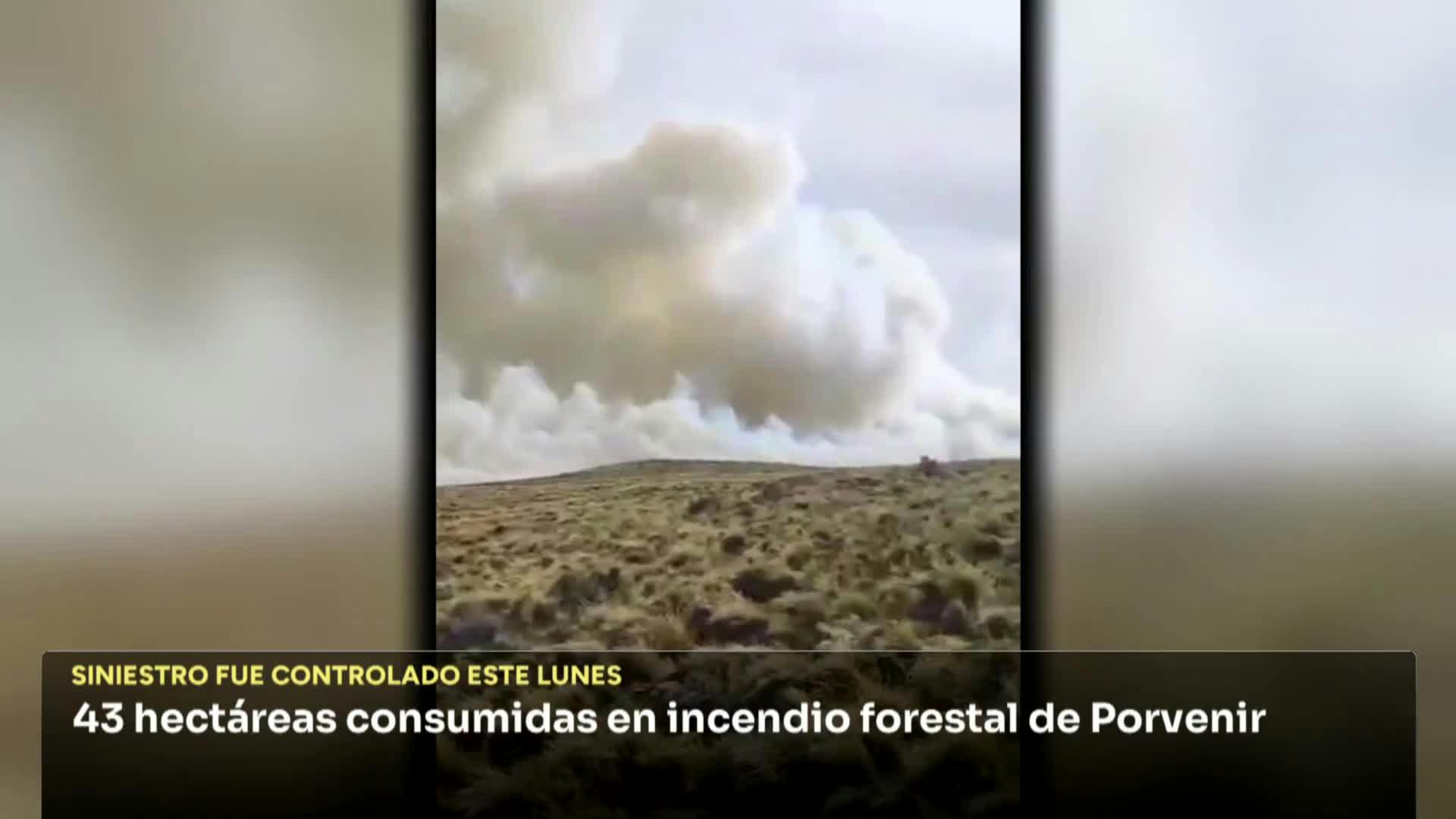 43 hectáreas consumidas en incendio forestal de Porvenir