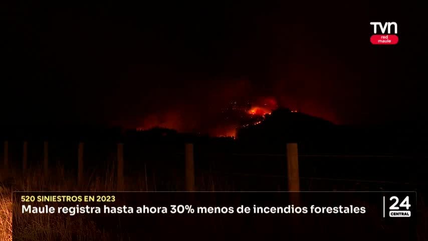 Maule registra hasta ahora 30% menos de incendios forestales