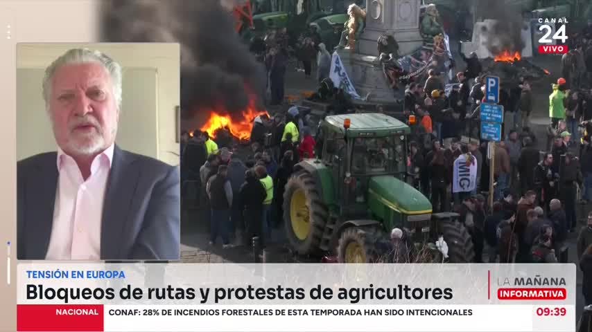 Experto por protestas de agricultores en Europa: Algunos señalan que esto es producto de la desglobalización