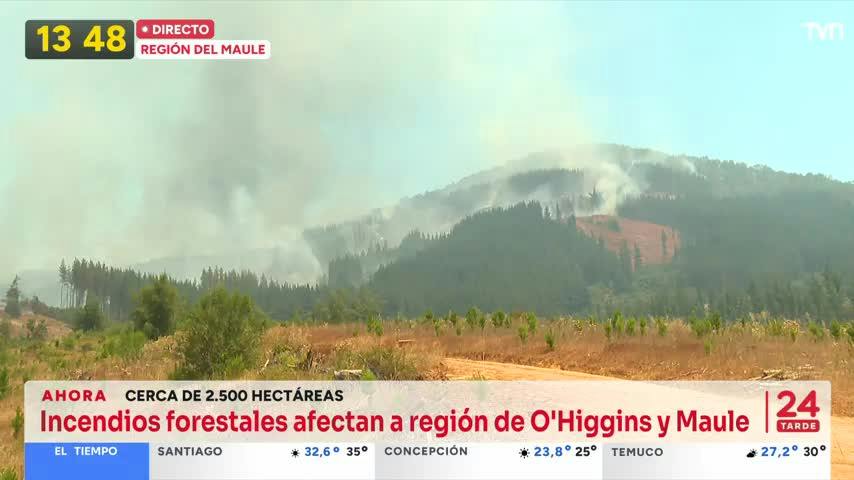 Tenso momento: Bomberos fueron cercados por las llamas en Pencahue