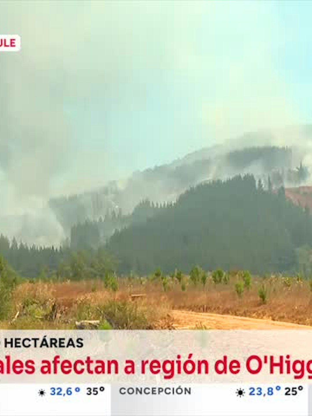 Tenso momento: Bomberos fueron cercados por las llamas en Pencahue