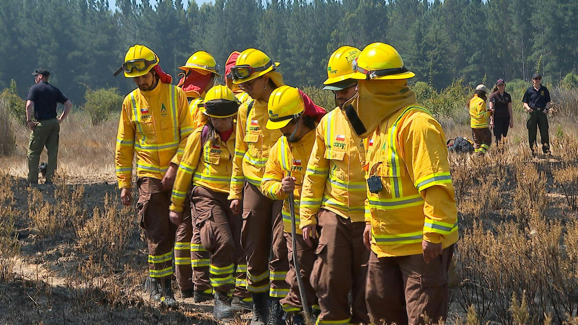 Brigadistas de Conaf se capacitan en Valparaíso con instructores norteamericanos