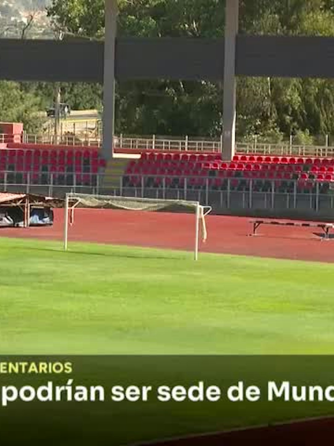 Talca y Curicó podrían ser sede de Mundial Sub 20