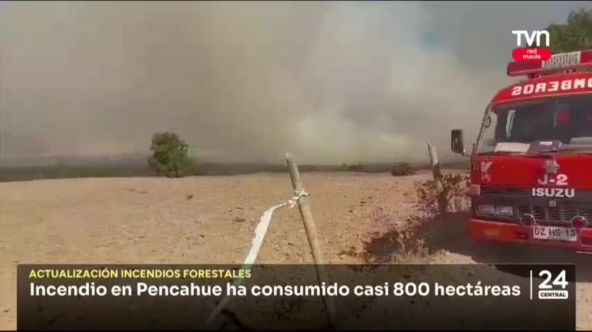 386 incendios forestales se han registrado en esta temporada