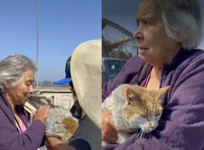 Emotivo momento: Alicia se reencontró con su gatito perdido en medio de incendio