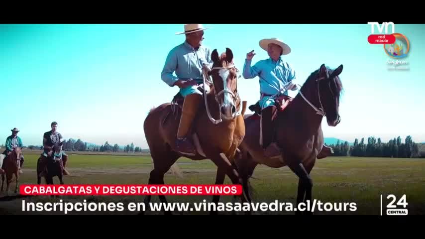Cabalgatas, trekking y fiesta solidaria para los próximos días en los siguientes panoramas de verano