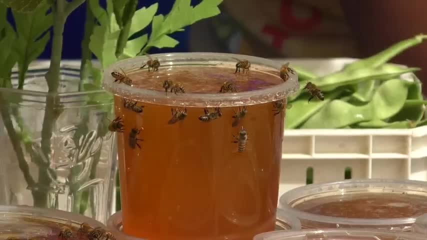 Fiesta de la Miel en Santa Juana