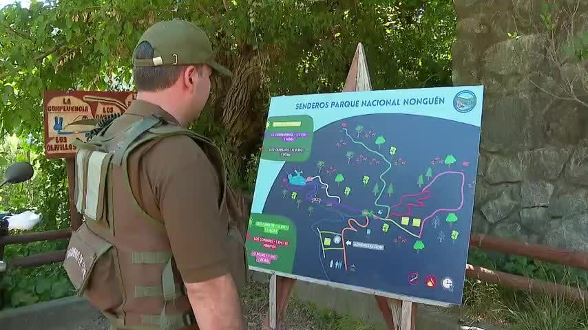 Despliegan patrullajes mixtos en parque Nonguén por tala de bosque