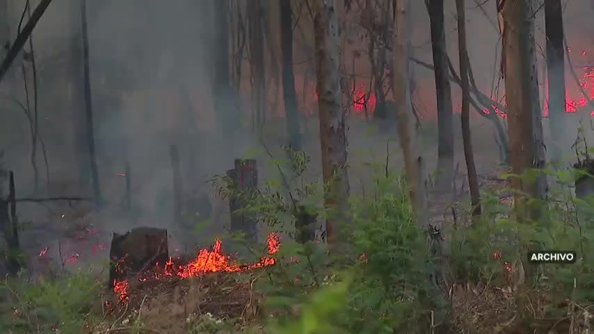 Piden denunciar a autores de incendios forestales