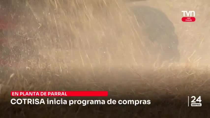 Cotrisa inicia programa de compras