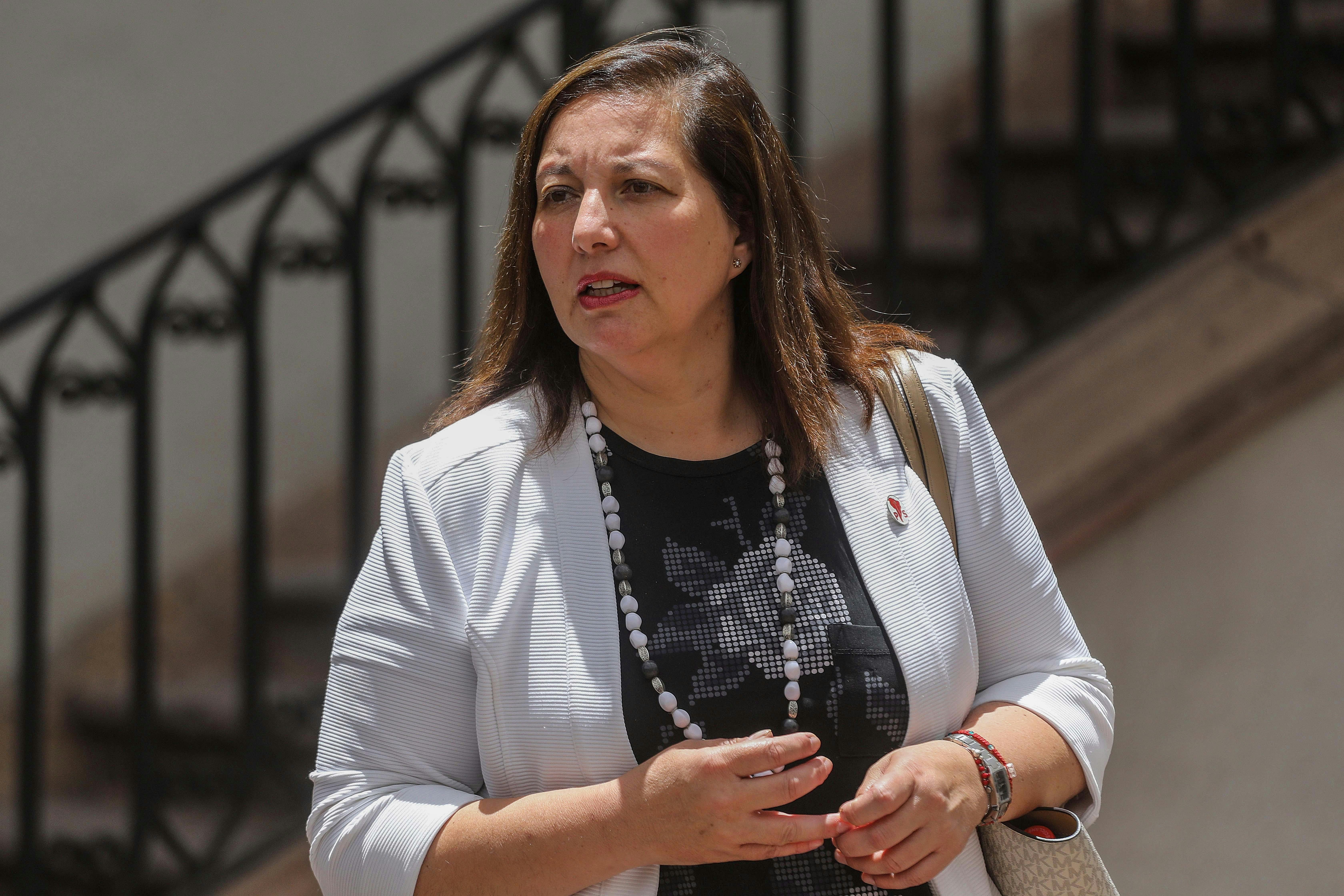 Paulina Vodanovic y críticas oficialistas a Presidente Boric: Se requiere unidad