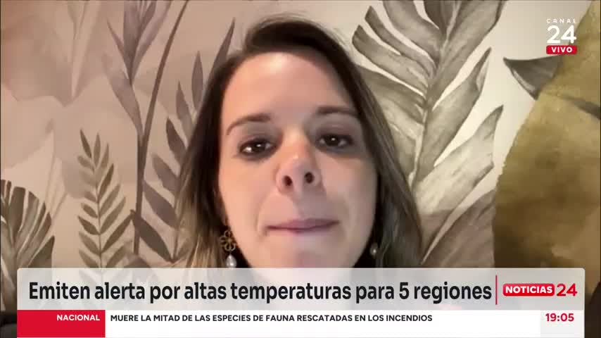 Meteoróloga Yael Szewkis y probabilidad de precipitaciones en Santiago: “Serán después del jueves de la próxima semana”
