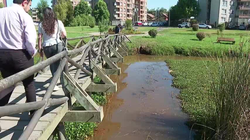 Denuncian contaminación en el Humedal Bayona de San Pedro de la Paz