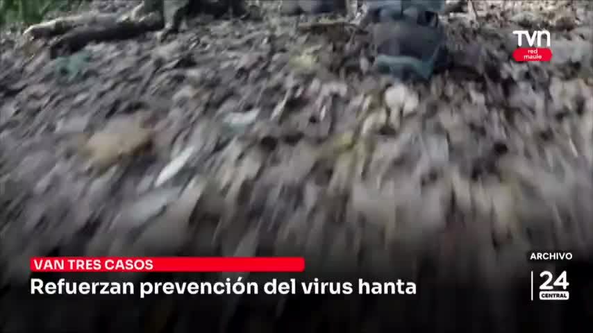 Refuerzan prevención del virus hanta