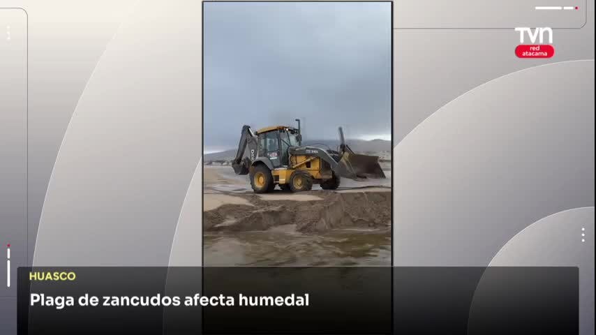 HUMEDAL DE HUASCO