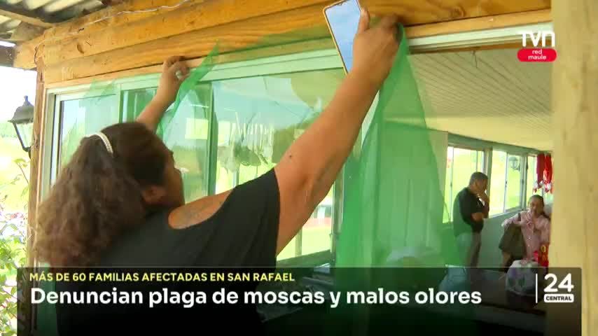 Vecinos de San Rafael denuncian plaga de moscas y malos olores