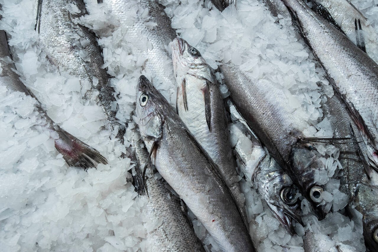 Aprenda a identificar un pescado fresco 