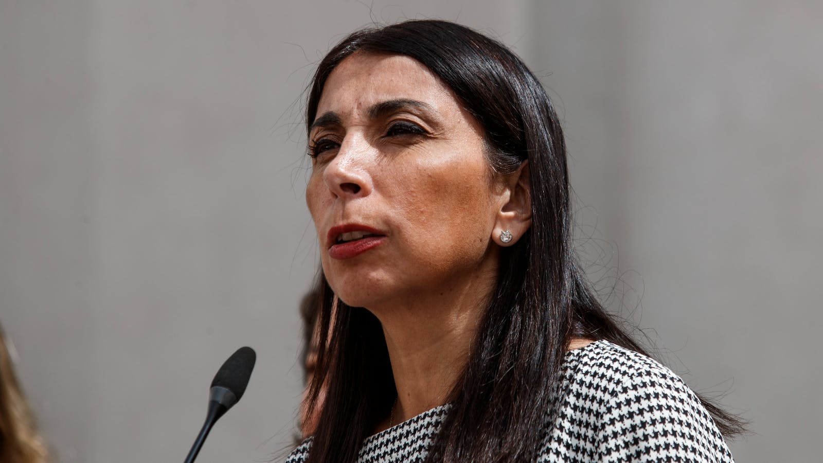 Karla Rubilar: expresidente Piñera estaba muy preocupado de si las ayudas estaban llegando