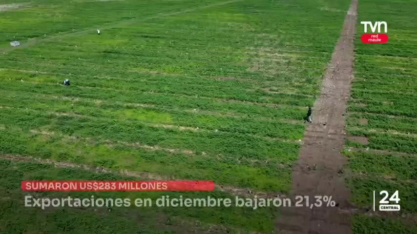 Exportaciones en diciembre bajaron 21,3%
