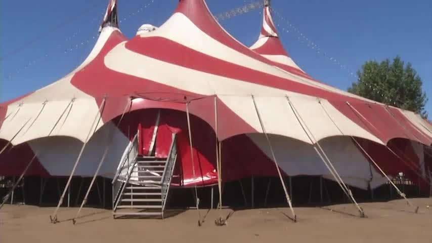Se acabó la función: 13 detenidos en desalojo de circo