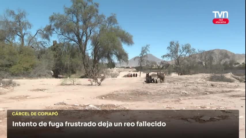 UN REO MURIÓ