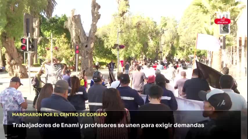 Trabajadores de Enami y profesores se unen